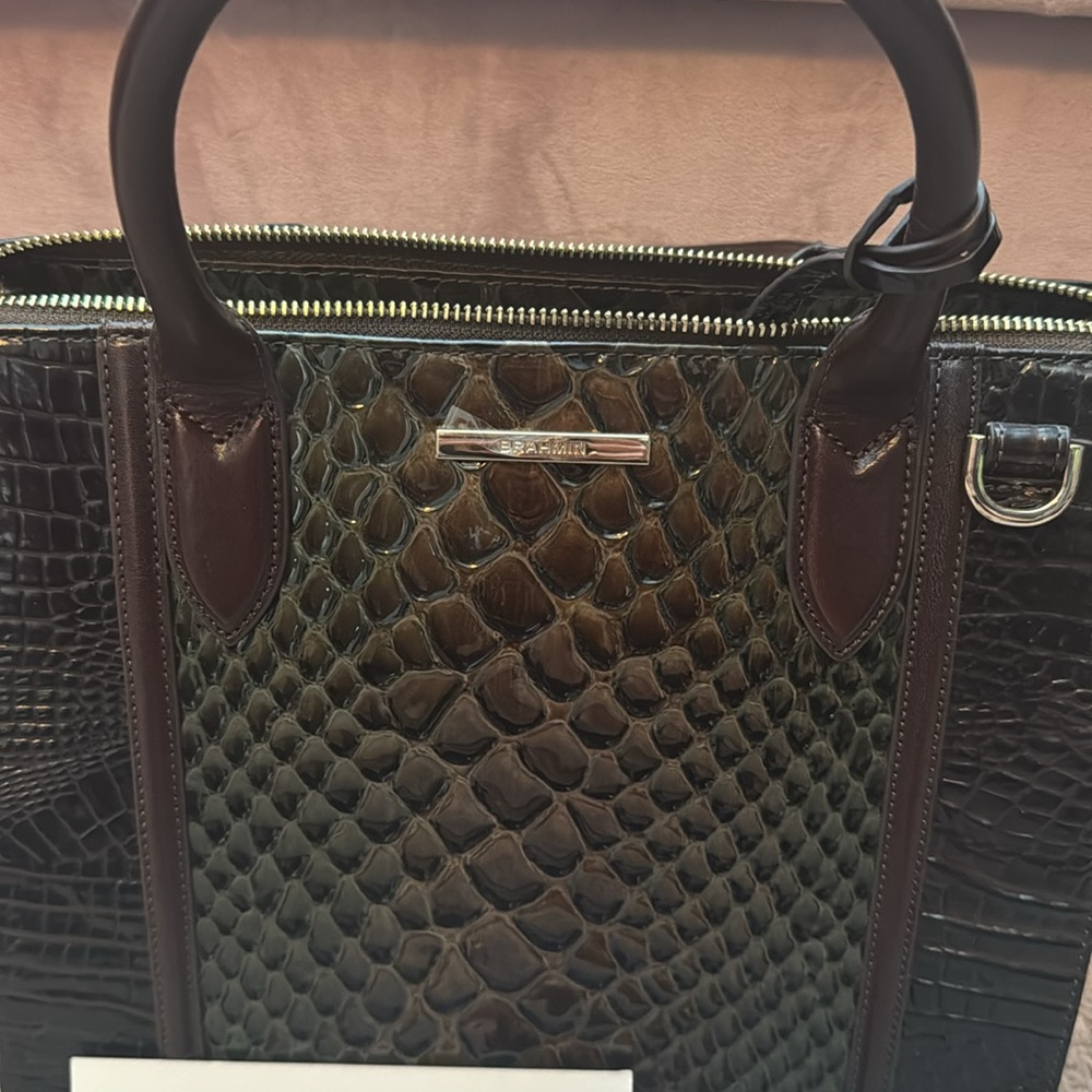 Brahmin Caroline in Hunter Amaya - Picture 2 of 5